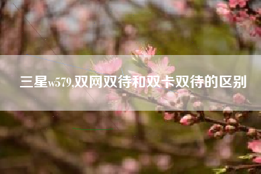 三星w579,双网双待和双卡双待的区别