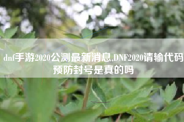 dnf手游2020公测最新消息,DNF2020请输代码预防封号是真的吗