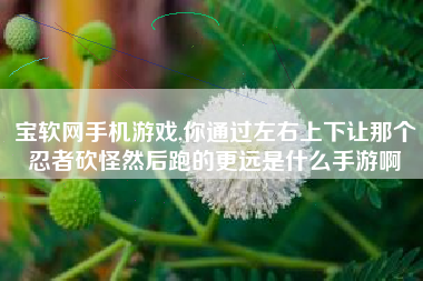 宝软网手机游戏,你通过左右上下让那个忍者砍怪然后跑的更远是什么手游啊