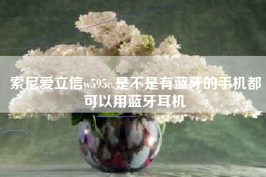 索尼爱立信w595c,是不是有蓝牙的手机都可以用蓝牙耳机