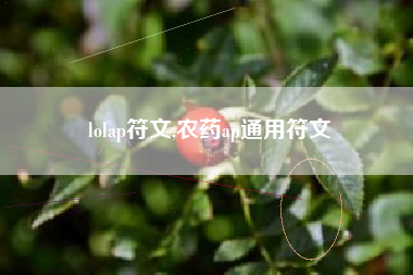 lolap符文,农药ap通用符文