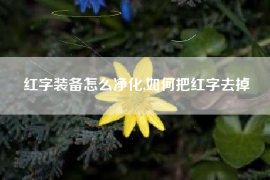 红字装备怎么净化,如何把红字去掉