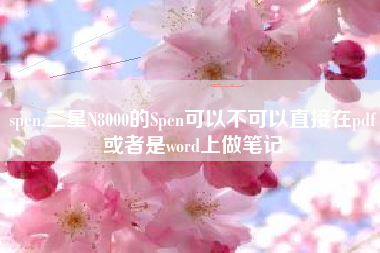 spen,三星N8000的Spen可以不可以直接在pdf或者是word上做笔记