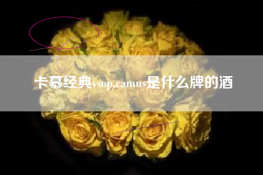 卡慕经典vsop,camus是什么牌的酒