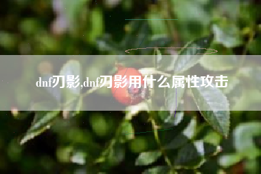 dnf刃影,dnf刃影用什么属性攻击