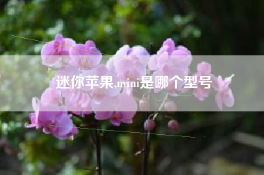 迷你苹果,mini是哪个型号