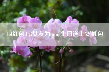 lol红包,Uzi女友为ming生日送上520红包