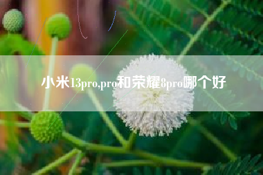 小米13pro,pro和荣耀8pro哪个好