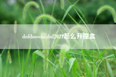 dnfduowan,dnf2021怎么开魔盒