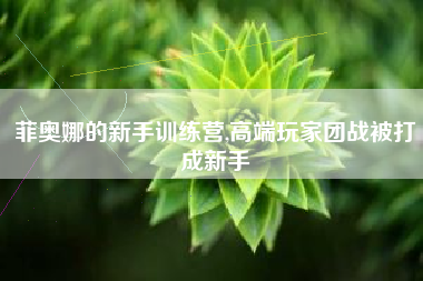 菲奥娜的新手训练营,高端玩家团战被打成新手