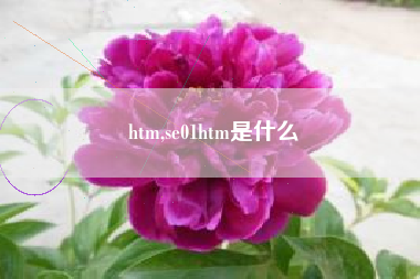 htm,se01htm是什么