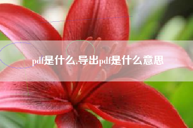 pdf是什么,导出pdf是什么意思