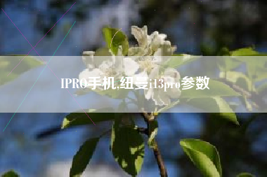 IPRO手机,纽曼i13pro参数