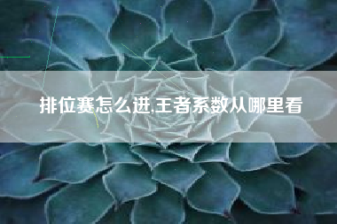 排位赛怎么进,王者系数从哪里看