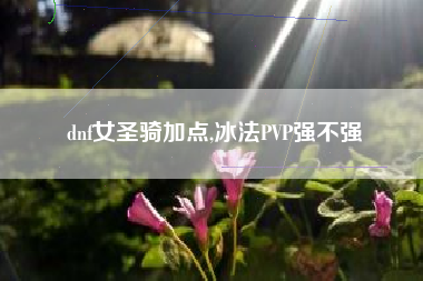 dnf女圣骑加点,冰法PVP强不强