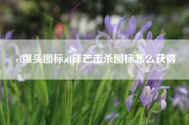 cf爆头图标,cf锋芒击杀图标怎么获得