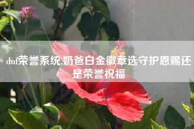 dnf荣誉系统,奶爸白金徽章选守护恩赐还是荣誉祝福