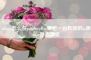 iabox,怎么在pandoraBox里把一台机器的ip跟mac静态绑定