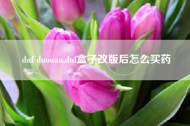 dnf duowan,dnf盒子改版后怎么买药