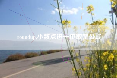 roundup,小数点进一位取整公式