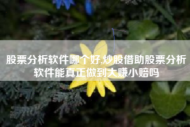 股票分析软件哪个好,炒股借助股票分析软件能真正做到大赚小赔吗