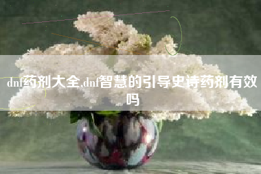 dnf药剂大全,dnf智慧的引导史诗药剂有效吗