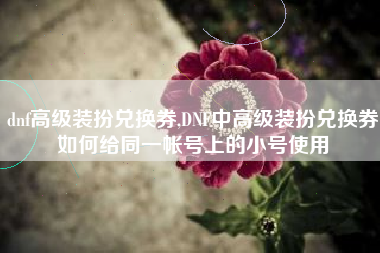 dnf高级装扮兑换券,DNF中高级装扮兑换券如何给同一帐号上的小号使用