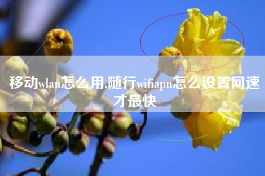 移动wlan怎么用,随行wifiapn怎么设置网速才最快