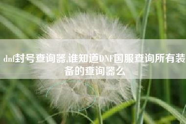 dnf封号查询器,谁知道DNF国服查询所有装备的查询器么