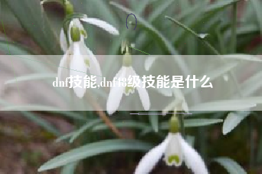 dnf技能,dnf48级技能是什么