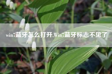 win7蓝牙怎么打开,Win7蓝牙标志不见了