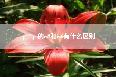 ps 2,ps的cs2和cs6有什么区别