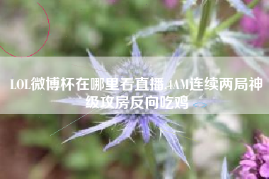 LOL微博杯在哪里看直播,4AM连续两局神级攻房反向吃鸡