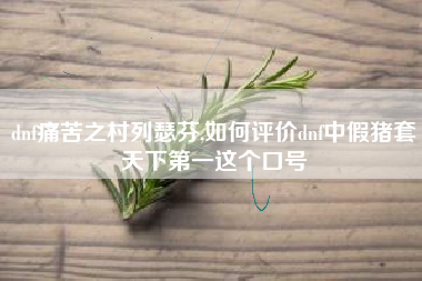 dnf痛苦之村列瑟芬,如何评价dnf中假猪套天下第一这个口号