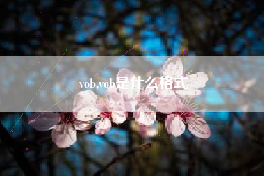 vob,vob是什么格式