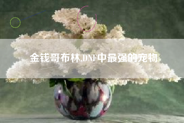 金钱哥布林,DNF中最强的宠物