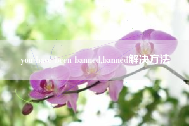 you have been banned,banned解决方法