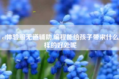 cf体验服无道辅助,编程能给孩子带来什么样的好处呢