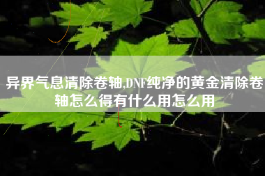 异界气息清除卷轴,DNF纯净的黄金清除卷轴怎么得有什么用怎么用