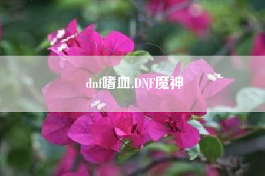 dnf嗜血,DNF魔神