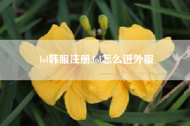 lol韩服注册,lol怎么进外服