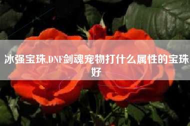 冰强宝珠,DNF剑魂宠物打什么属性的宝珠好