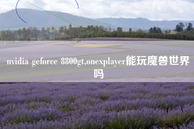 nvidia geforce 8800gt,onexplayer能玩魔兽世界吗