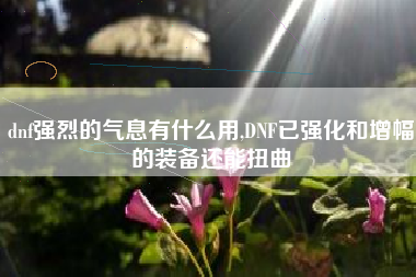 dnf强烈的气息有什么用,DNF已强化和增幅的装备还能扭曲