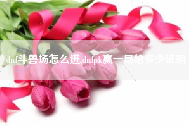 dnf斗兽场怎么进,dnfpk赢一局给多少证明