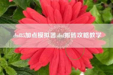 dnf85加点模拟器,dnf搬砖攻略教学