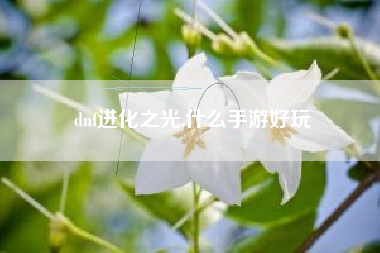 dnf进化之光,什么手游好玩