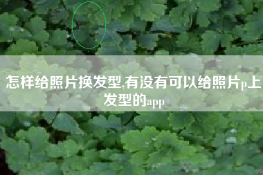 怎样给照片换发型,有没有可以给照片p上发型的app