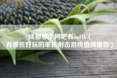 成都那个网吧有cod16（
有哪些好玩的单机射击游戏值得推荐）