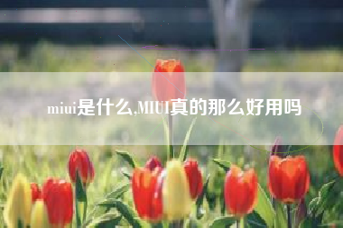 miui是什么,MIUI真的那么好用吗